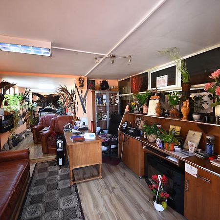 Pensiunea Dealul Viilor Deva Extérieur photo