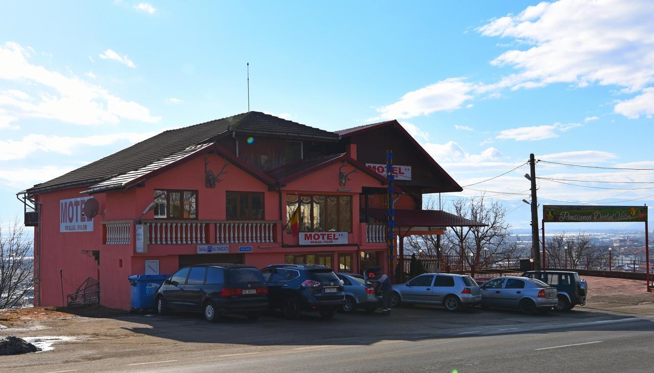 Pensiunea Dealul Viilor Deva Extérieur photo